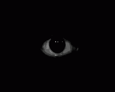 GIF 2