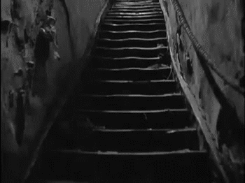 GIF 6