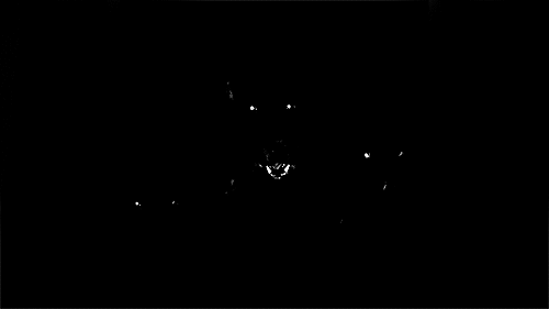 GIF 8