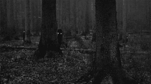GIF 9